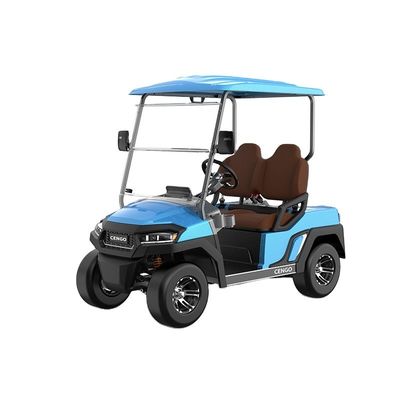 Goede prijs. Goedkope 2 zitplaatsen elektrische golf buggy perfect voor familie en jagen op het strand online