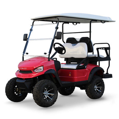 Goede prijs. 48V5KW AC Motor Lifted Golf Cart Back to Back 4 zitplaatsen met sterk vermogen en staande positie van staart Caddie Niet uitgerust online