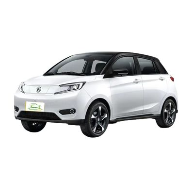 Goede prijs. 2023 Model Pure Electric Car YOUNG 302km Bereik 0,5h Snel opladen 4 zitplaatsen Volledige lading Gewicht 1080KG Maximaal vermogen 35 100km/h online