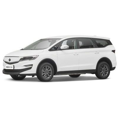Goede prijs. 2023 Luxe 4 zitplaatsen elektrische auto Lifan Maple Leaf 80v Volwassen energievoertuig 139L Bagageruimte Volume online
