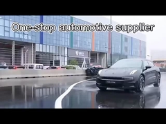 Elektrische Auto's