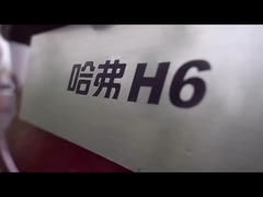 High Speed HAVAL H6 2023 Compact SUV De ultieme keuze voor de brandstofvoertuigmarkt